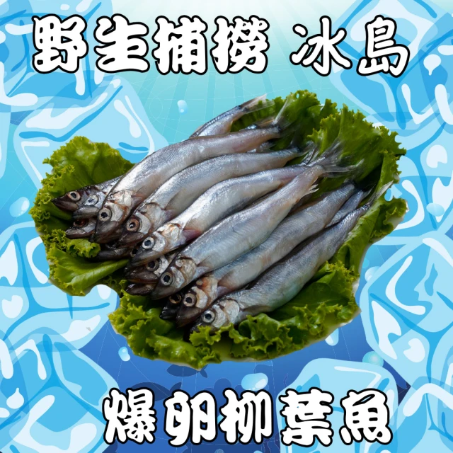 野生現流冰島爆卵柳葉魚