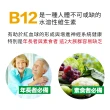 【Lovita愛維他】長效緩釋型維他命B12素食錠1000mcg(60錠)