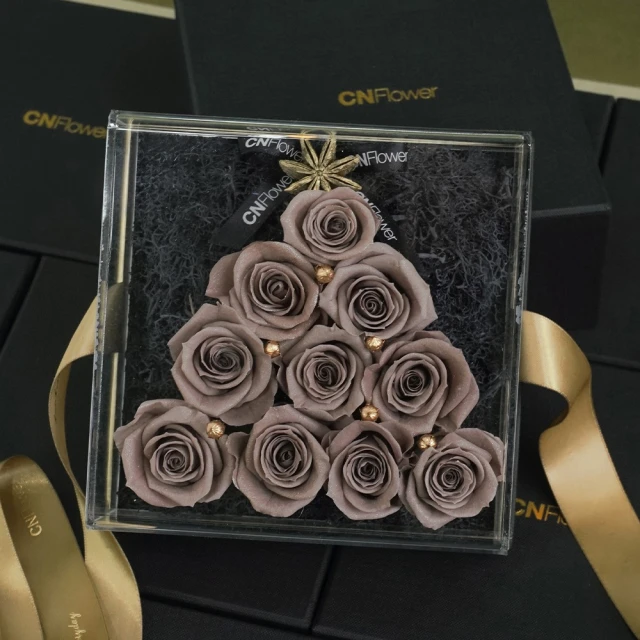 CNFlower 西恩 ROSY CHRISTMAS TREE-灰棕 恆星花禮(送禮推薦/永生花/浪漫/驚喜/聖誕限定)