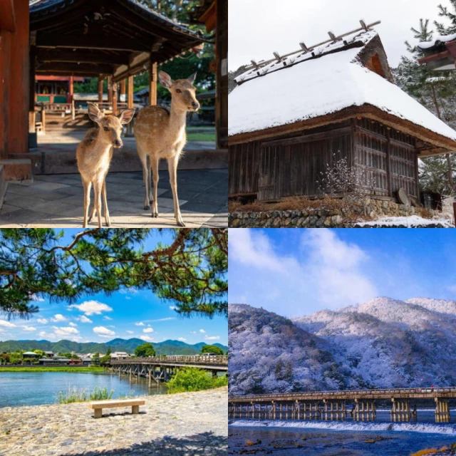 吉航旅遊 精緻假期大阪泡湯天橋立伊根舟屋六甲山玩雪清水寺螃蟹海鮮和牛五日-星宇航空/長榮/泰越捷航空