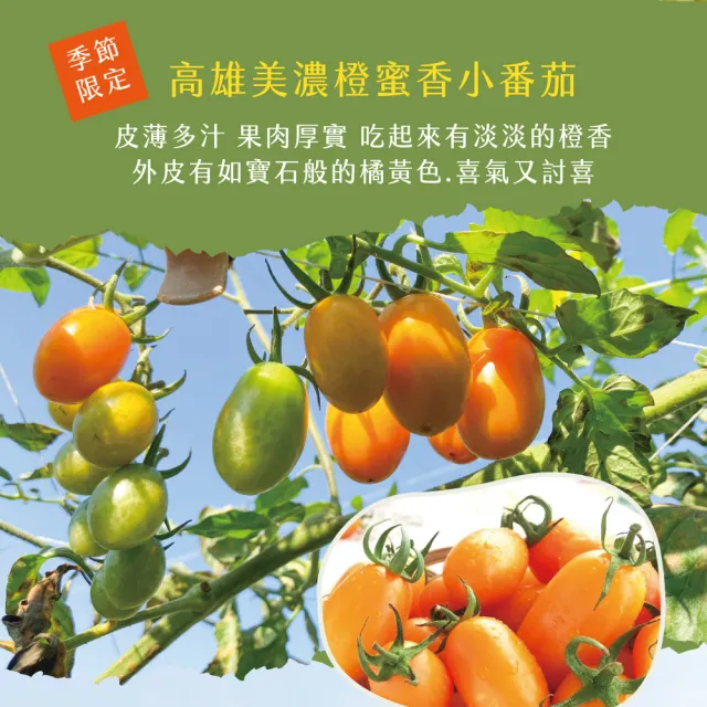 【初品果】美濃達哥雙色橙蜜香小番茄3斤x1盒(紅蜜+橙蜜_產銷履歷_年節禮盒)