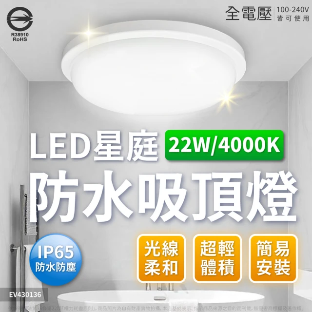 Everlight 億光 2入組 LED 星庭 22W 全電壓 IP65 防水防塵等級 戶外照明 吸頂燈(黃光/自然光/白光)