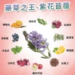 【iVENOR】十時塑花草茶-綜合口味x4盒(廖家儀 白家綺見證推薦纖體茶)