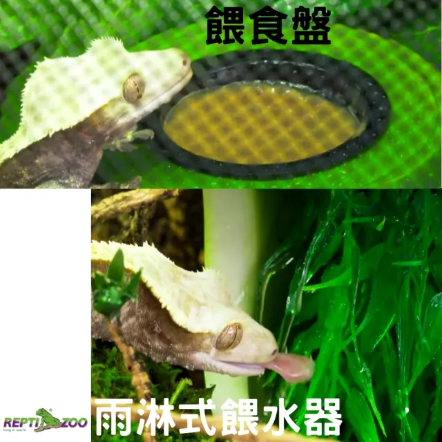 【REPTIZOO 瑞普】爬蟲泉水器 竹子型/飲水器/餵水器/變色龍/睫角守宮/樹蛙(飲水機.食物盤ADF02/REPTI ZOO)