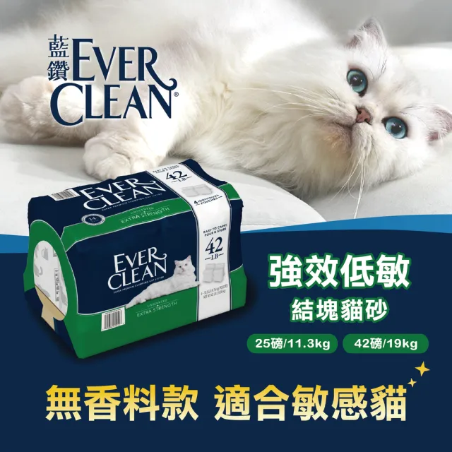 【EverClean 藍鑽】強效低敏結塊貓砂 42LB(礦砂)