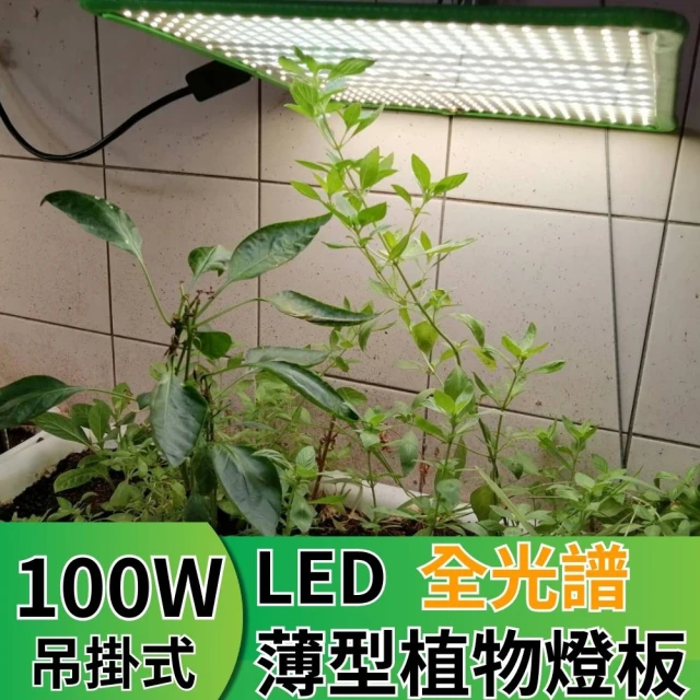 JIUNPEY 君沛 LED100W薄型植物燈板 100瓦吊掛式植物燈 仿日照陽光植物燈全光譜 高演色舒適光(植物燈)