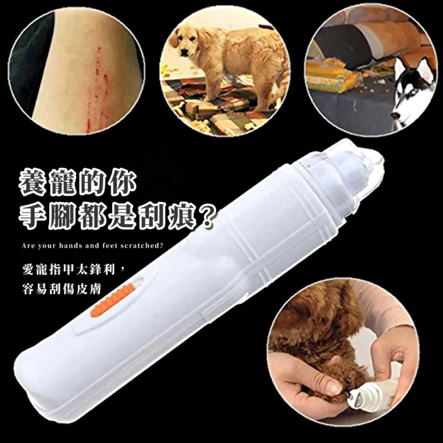 【磨爪磨喙】多功能安全降噪寵物電動磨甲機(貓狗鳥兔皆適用 鸚鵡 嘴喙 爪子 寵物指甲修剪打磨 美容)