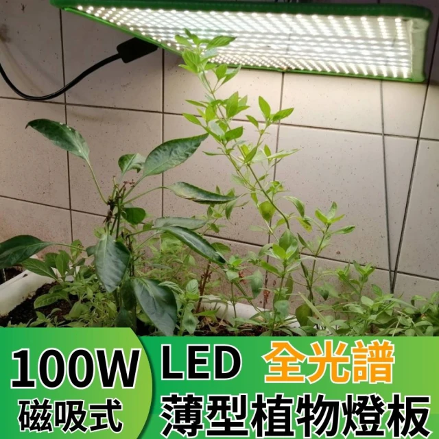 JIUNPEY 君沛 LED100W薄型植物燈板 100瓦磁吸式植物燈 仿日照陽光植物燈全光譜 高演色舒適光(植物燈)