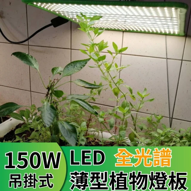 JIUNPEY 君沛 LED150W薄型植物燈板 150瓦吊掛式植物燈 仿日照陽光植物燈全光譜 高演色舒適光(植物燈)