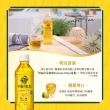 【KIRIN 麒麟】午後紅茶-奶茶500mlx24入/箱(日本原裝進口)