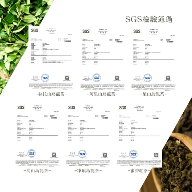 【iTQi 定迎】凍頂烏龍茶-極品典藏雙入組(含提袋)