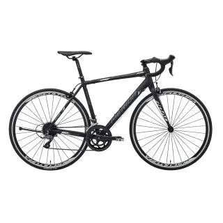 【MERIDA 美利達】斯特拉SCULTURA 92-TW 台灣限定版 全能型入門跑車(彎把/公路車/自行車/單車)