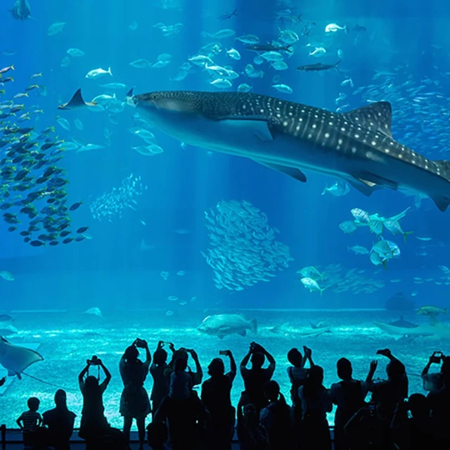 找到了!旅遊 釜山銀白伊甸園滑雪五日 易斯達航空(伊甸園滑雪