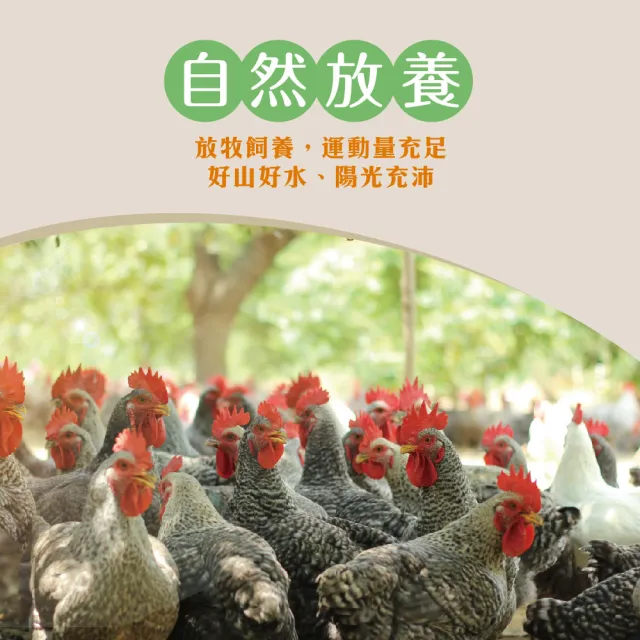 【超秦肉品】文昌雞 放牧飼養雞肉切塊500g *12盒(文昌雞  土雞  生鮮雞肉 雞肉切塊)