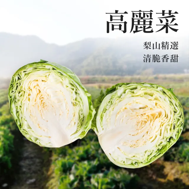 【陳記好味】飽滿元寶手工水餃3包共約300顆(高麗菜、韭菜、玉米任選 煎煮/水煮/15分鐘即上桌)