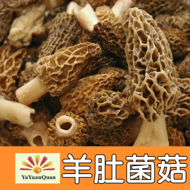【亞源泉】羊肚菌菇 50g/包 羊肚菌 特級菌菇 1入組含運費(菇中之王)