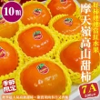 【WANG 蔬果】摩天嶺高山7A甜柿10顆x1盒(200g/顆_禮盒)