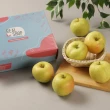 【RealShop】日本青森toki土歧蜜蘋果 約1.6kg±10% 6顆禮盒裝(本季空運水果禮盒 真食材本舖)