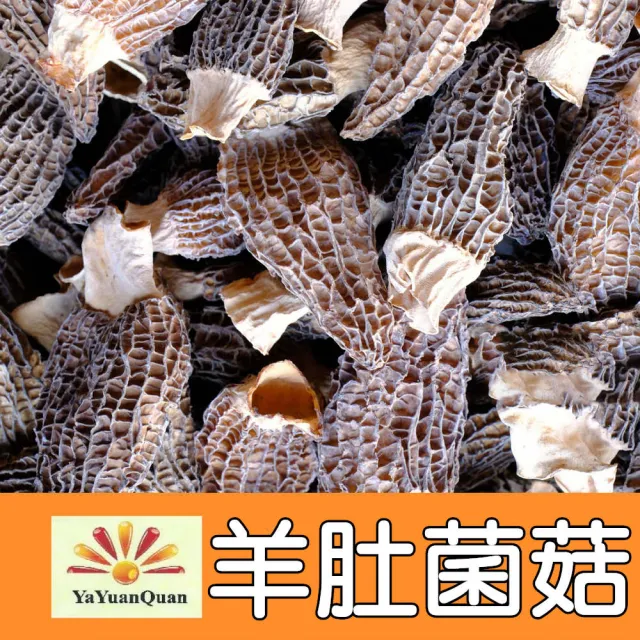 【亞源泉】羊肚菌菇 50g/包 羊肚菌 特級菌菇 2入組(菇中之王)