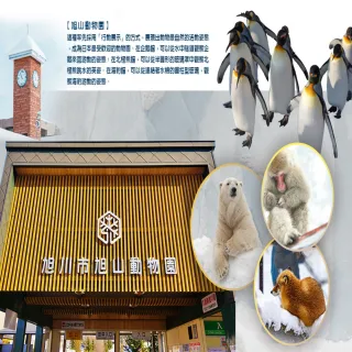 【吉航旅遊】精緻假期北海道富良野玩雪三合一旭川動物園銀河流星瀑布小樽運河溫泉美食五日-泰越捷航空