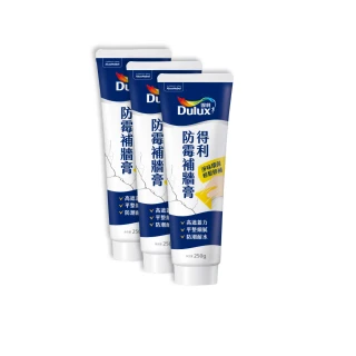 【Dulux得利官方店】A888 防霉抗菌補牆膏（3入組裝）