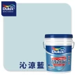 【Dulux得利官方店】10坪加強版 A959倍剋漏屋頂防水組(防水漆 隔熱漆)