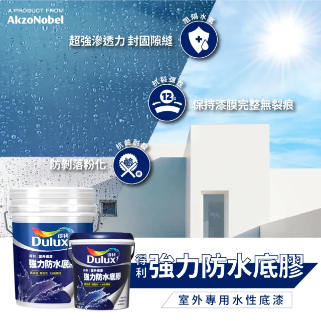 【得利】Dulux官方旗艦店★10坪基本版 A959倍剋漏屋頂防水組(防水漆 隔熱漆 618)