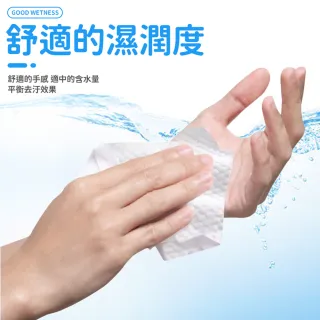 【同闆購物】淨新加厚純水柔濕巾 10抽 濕紙巾 純水濕紙巾 柔濕巾 寶寶濕紙巾 隨身包濕巾