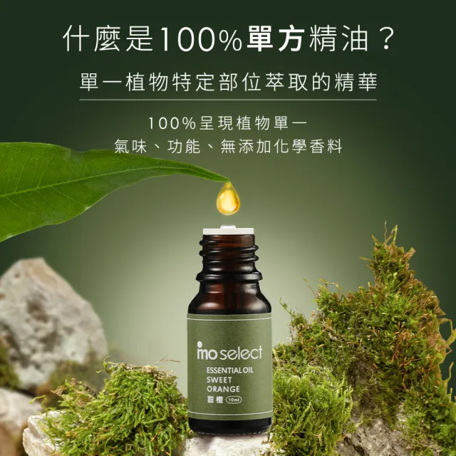 【mo select】100%植物精油3入花木調超值組 10ml(薰衣草/茶樹/絲柏/精油)