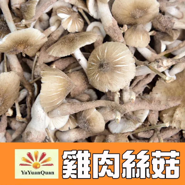 【亞源泉】純野生雞肉絲菇 切片 70g/包 20入組(贈亞源泉系列商品2包)