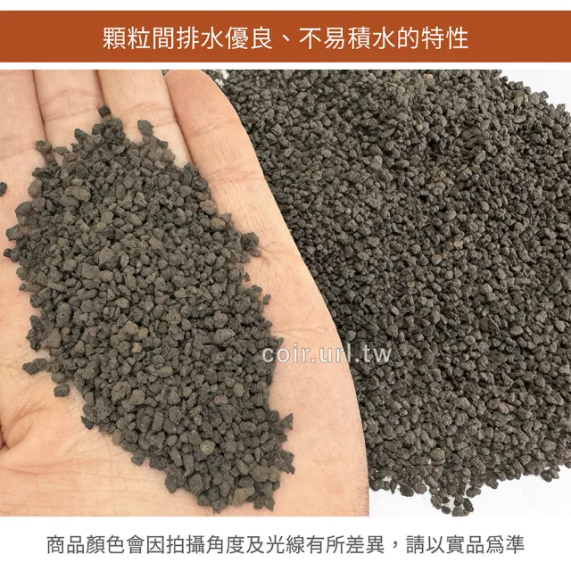 【瘋狂植物社】999印尼黑火山石1.5公升裝-粒徑1~3mm(多肉石、蘭花石、多孔隙結構、可沉水、可作為水族底砂)