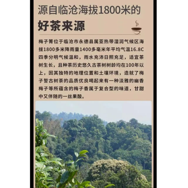【盛嘉源】梅子菁 2023年(普洱茶 生茶357g)