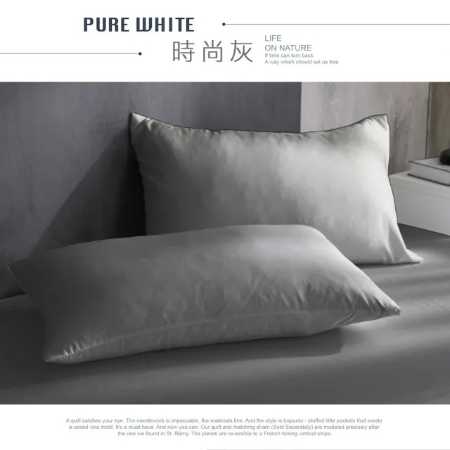【ISHUR 伊舒爾】超防水透氣保潔墊枕頭套2入組(3M專利技術/台灣製造/多項SGS認證/枕套)
