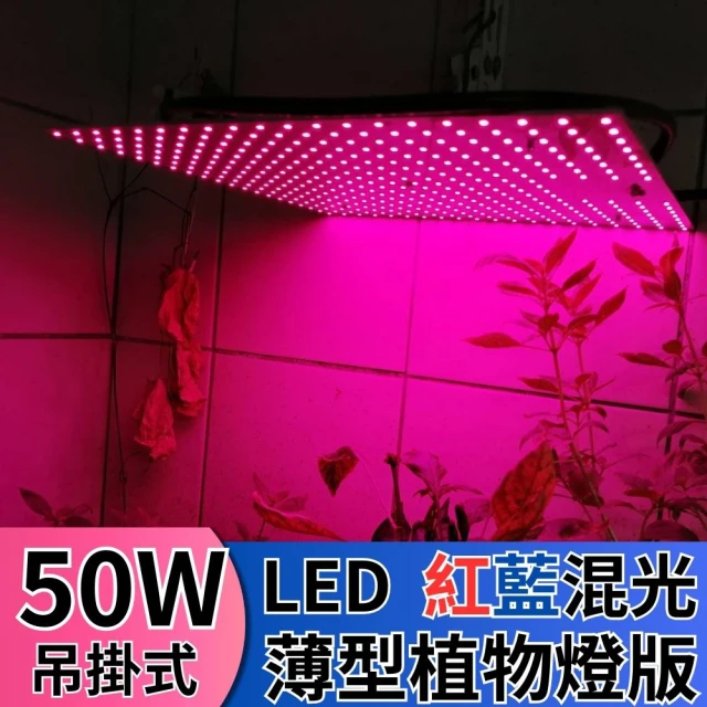 JIUNPEY 君沛 LED50W薄型植物燈板 50瓦吊掛式植物燈 紅藍混光 專業型光譜(植物燈)