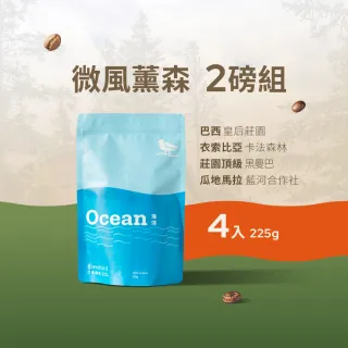 【江鳥咖啡】莊園經典咖啡豆綜合風味組x4袋(225g/袋;皇后莊園/卡法森林/頂級黑曼巴/藍河合作社)