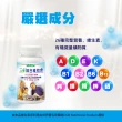 【三多】綜合維他命4入組.共1200粒(葉酸.礦物質.金盞花葉黃素.生物素)