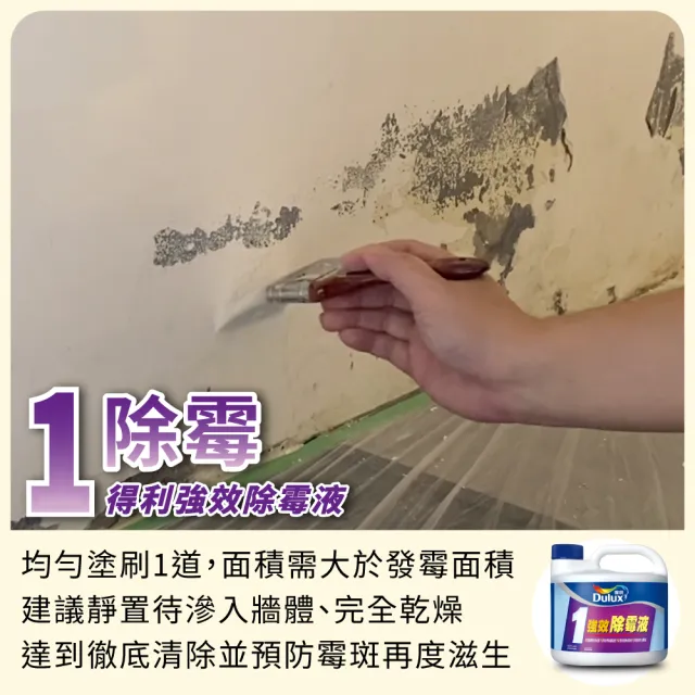 【Dulux得利官方店】1.5坪 全效合一乳膠漆+壁癌包組合(油漆 壁癌 塗刷)