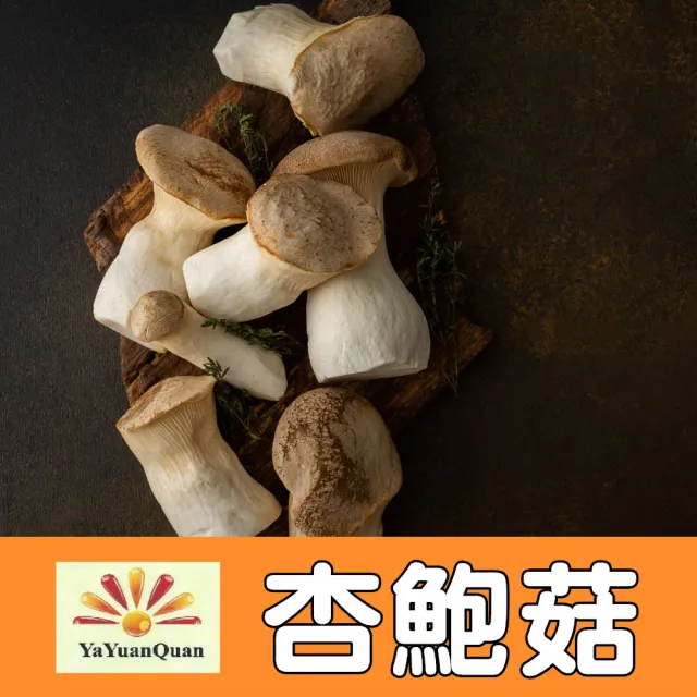 【亞源泉】杏鮑菇 100g/包 乾杏鮑菇 3入組(杏鮑菇 味道鮮美 滋味無窮)