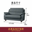 【ASSARI】艾恩雙人座貓抓皮獨立筒沙發