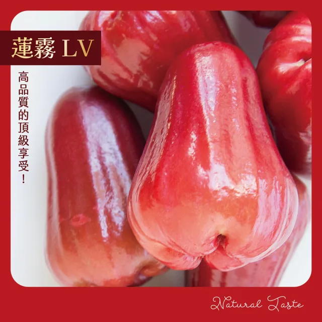 【e果園】高雄六龜LV級黑糖芭比蓮霧禮盒-中果5台斤/盒(中果約21顆-24顆/盒/產地新鮮直送)