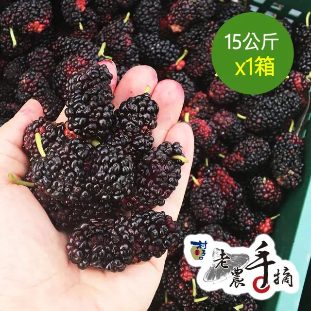 【老農手摘】嘉義義竹天然野生桑葚果15公斤業務用x1箱(散裝_產地直銷)