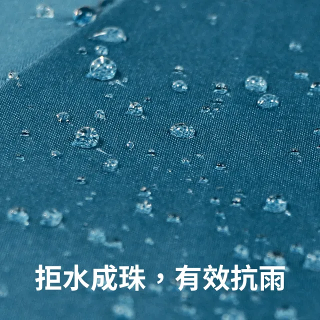 【雨傘王】BigPurple 大傘面 自動傘 27吋 CP值最高  8骨防風 折疊傘 多人撐(可付費維修)