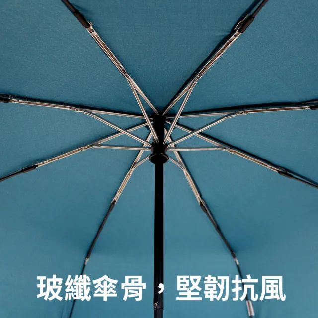 【雨傘王】BigPurple 大傘面 自動傘 27吋 CP值最高  8骨防風 折疊傘 多人撐(超值款無維修)