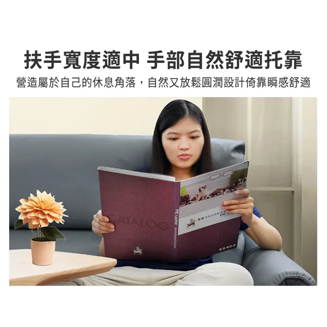 【ASSARI】雙人座索菲亞現代科技皮沙發(2人座/二人座)