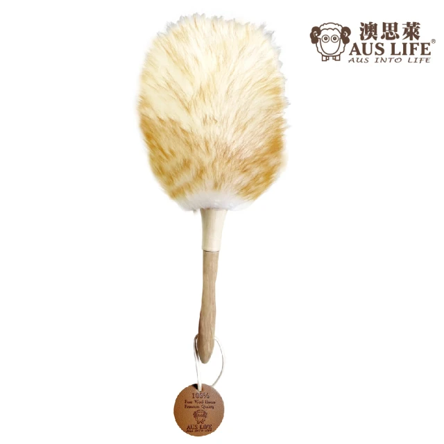 CS22 二合一玻璃清潔寵物除毛刷-2入(輕鬆解決掉毛煩惱)