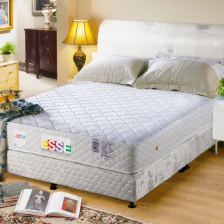 【ESSE 御璽】防蹣抗菌健康記憶2.3硬式彈簧床墊(雙人加大)