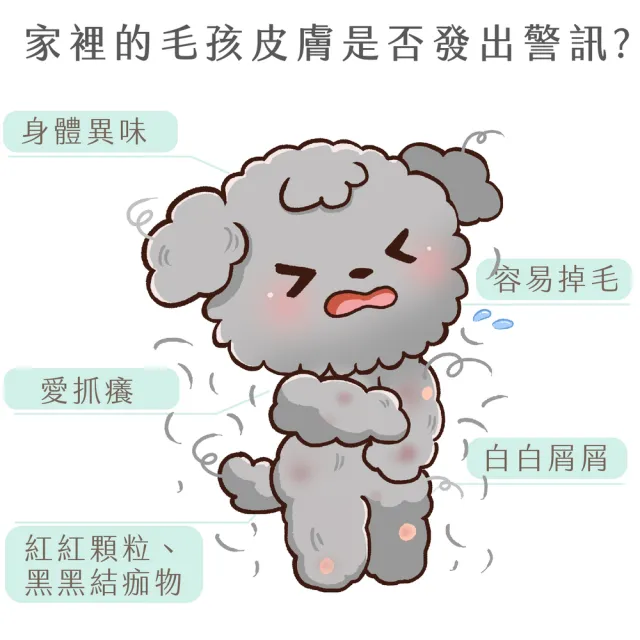 【GOODMO 歸毛家族】護膚噴液x3精萃營養霜/修護霜x3送舒敏保濕洗毛乳300ML(全齡貓狗護膚/無抗生素類固醇)