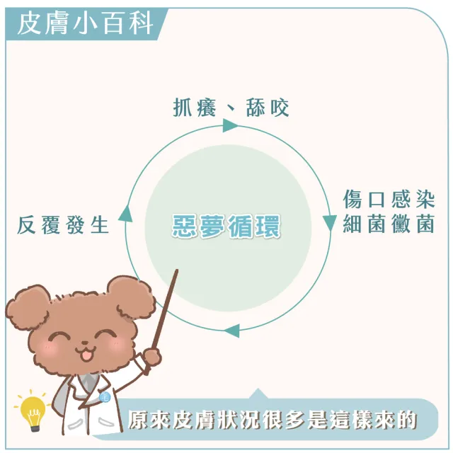【GOODMO 歸毛家族】舒敏保濕洗毛乳300ML護膚噴液x2精萃營養霜/修護霜x2(全齡貓狗護膚/無抗生素類固醇)