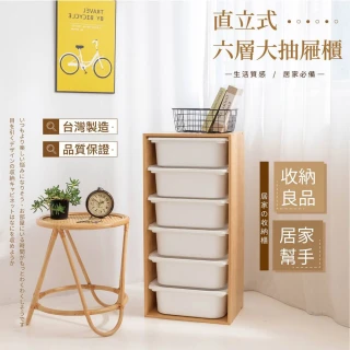 【TIDY HOUSE】MIT台灣製造-直式六大抽抽屜玩具收納櫃 多色可選(玩具櫃 收納櫃 三種可選)