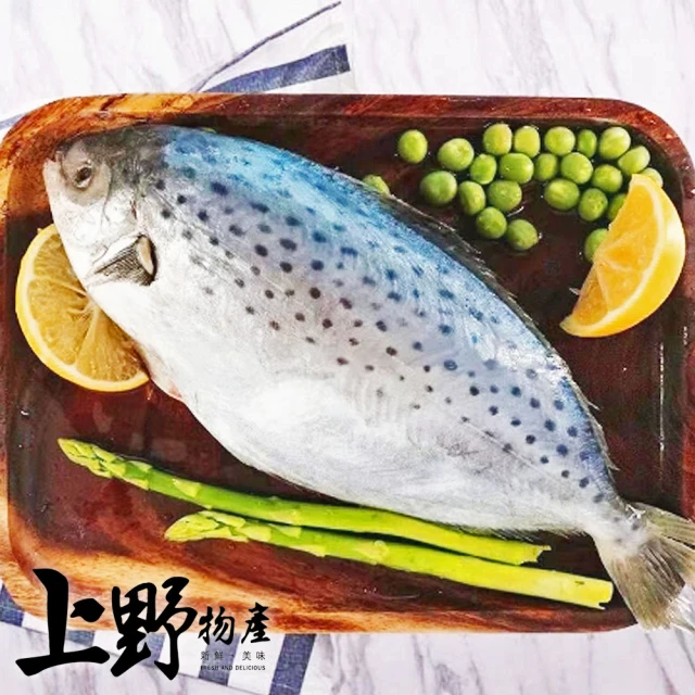 上野物產 12隻 花鯧(150-200g±10%/隻 海鮮/鯧魚/黃金鯧/花鯧/白鯧)